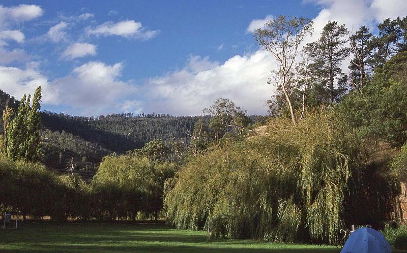 WT 0400 082-25 Australia.jpg